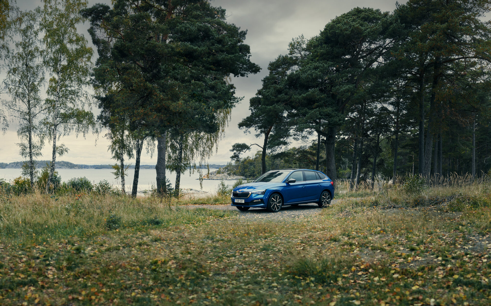 Blå Skoda Scala parkerad i skogsdunge