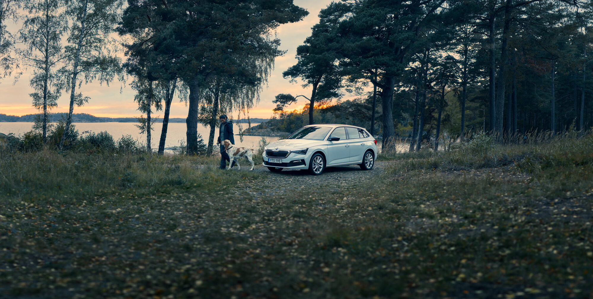 Skoda parkerad i skogen vid vattnet