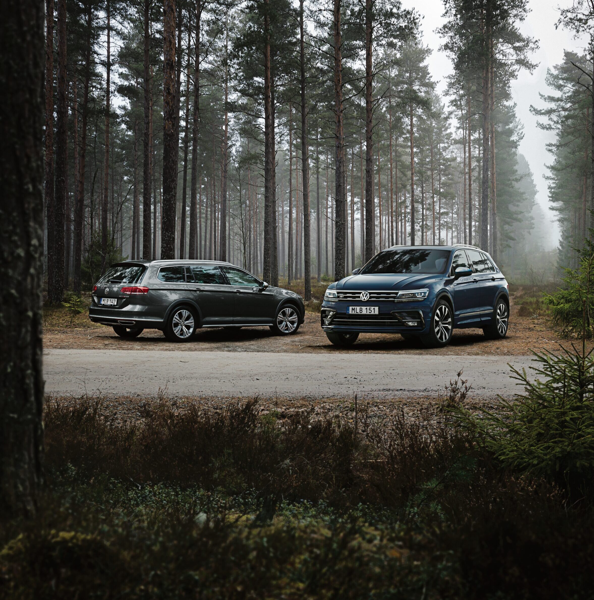 Två Volkswagen-bilar parkerade på en skogsväg i dimmig tallskog